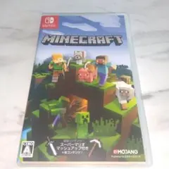 Minecraft Nintendo Switch版