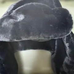 Item thumbnail for item b357daaa-5178-47a2-aa54-139943daf179