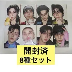 KARMA アルバム アコーディオン 8枚 コンプリート セット 開封済