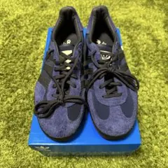 Item thumbnail for item 19af479b-bb3c-4edc-911b-de8f36d5718b