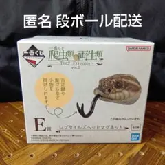 一番くじ 爬虫類 シシバナヘビ レプタイルズヘッドマグネット 匿名配送