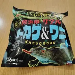 Item thumbnail for item 4d3db504-52ab-4d0f-94a6-5073c5aac6e8