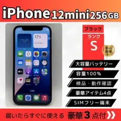 バッテリー新品✨iPhone 12 mini 256GB ブラック SIMフリー