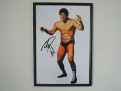 A4 額付き ポスター アントニオ猪木 Inoki Antonio