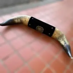 ライオン　角風　置物