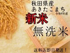 新米 令和4年度産 あきたこまち10kg 無洗米