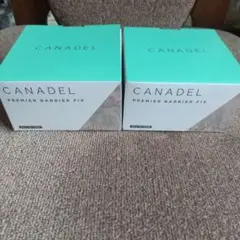 Item thumbnail for item 946141a6-6fbc-4e57-9efd-f272d388f04a