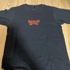 Parkway Drive Tシャツ Lサイズ