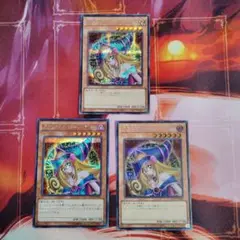 遊戯王 ブラック・マジシャン・ガール シークレット 3枚セット