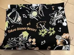 東京ディズニーリゾート　ハギレ　約50cm×4 4cm