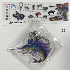 【22】バショウカジキ 竹島水族館限定 ■2点目以降−150円引き
