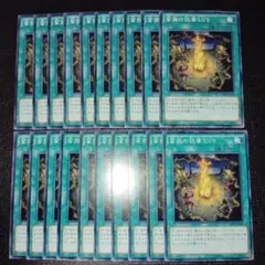 2326 蛮族の狂宴 LV5 20枚セット