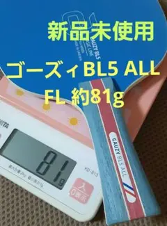 ゴーズィビーエル5オール フレアFL andro