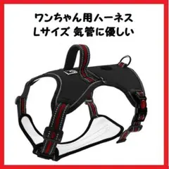 Item thumbnail for item 05823137-48c9-4c35-aefb-f50094f386e5