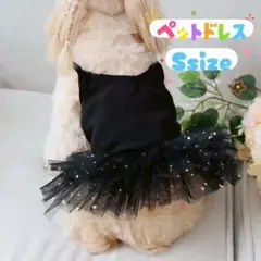 Item thumbnail for item b774a6fd-fe6b-4c57-b9ad-813ad869fcb8