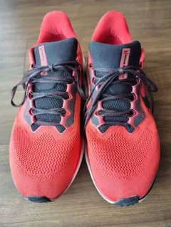 Nike Air zoom ペガサス４１(２８cm)