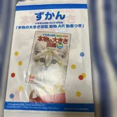 マック　ずかん　本物の大きさ図鑑 AR動画付き