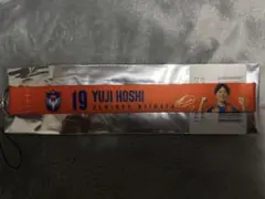 アルビレックス新潟 プラネタスワンストラップ 19 星雄次