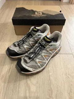 新品未使用　箱付THE BROKEN ARM別注 SALOMON GTX 28 A First Look at The Broken Arm x Salomon X-Alpages GTX