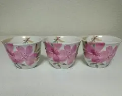 Item thumbnail for item 745fc8db-ad21-44b7-ae99-0ef2cb9ba63a