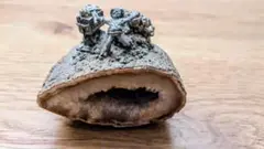 Item thumbnail for item 7d216dbe-893e-4e9c-b467-9a10fa24d1ed