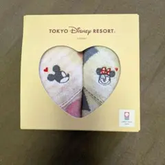 東京ディズニーリゾート ミッキー ミニー タオルセット