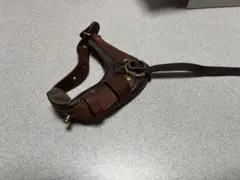 Item thumbnail for item f46f4d58-c4a1-4b9d-8672-fbb45c9f12e5