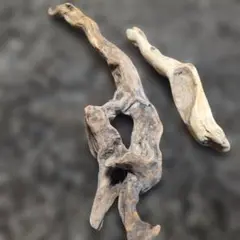 Item thumbnail for item 036aaf8f-6f47-4d73-b0f5-38249ae0565a