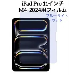 iPad Pro 11㌅ (M4) 2024 用 フィルム ブルーライトカット