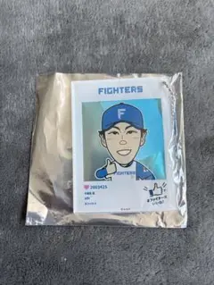 FIGHTERS ガチャ