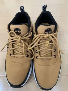 Timberland FIELD TREKKER LOW 25.5cm