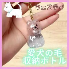 Item thumbnail for item 03cf4f9f-a9ff-4f35-95a4-4b1c1445567f