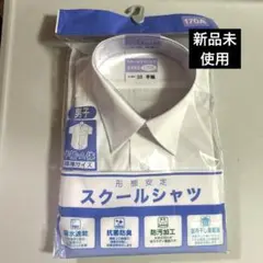 Item thumbnail for item 18fd03bd-cd90-4484-8279-20b631c925ed