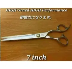Item thumbnail for item 4317a5b1-90e0-423f-a0af-0ac06a8e0911