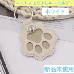 Item thumbnail for item 4fa6ced3-1182-42ab-b02b-859fd0bc39aa