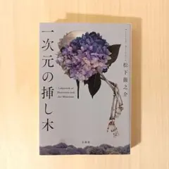 一次元の挿し木 松下龍之介