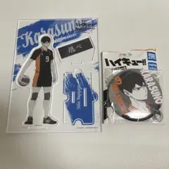 ハイキュー 影山 ポートレート アクリルスタンド カラパレ 缶バッジ 影山飛雄