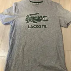 LACOSTE Tシャツ　グレー