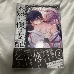 BL 漫画　未熟な僕は支配を乞う 2