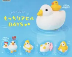 もっちりアヒルDAYS