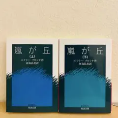 嵐が丘　上下２冊セット　岩波文庫