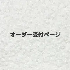 ⚫︎オーダー受け付けページ⚫︎
