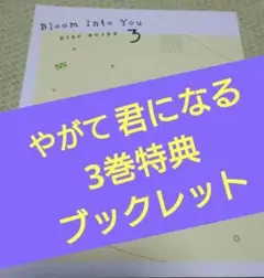 やがて君になる 3巻 特典ブックレットのみ