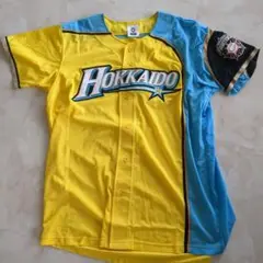 北海道日本ハムファイターズ ユニフォーム Oサイズ DVD10個セット