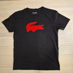 LACOSTE SPORT Tシャツ　US M