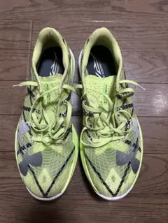 Item thumbnail for item f547456c-9a4c-4566-87e6-fc98d3a42420