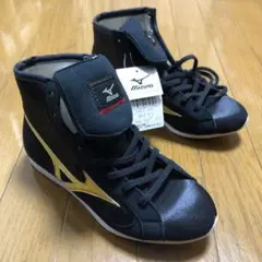 ミズノ ボクシング シューズ トレーニング タグ付き新品未使用品❗️