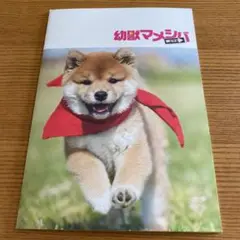 妖獣マメシバ　映画パンフレット