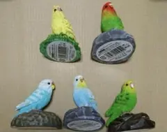 セキセイインコ オカメインコ コザクラインコ 置物 フィギュア セット