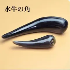 Item thumbnail for item 2bc577fb-c7b8-4487-9eb2-2762b2bd8c31